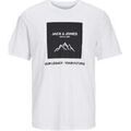 Tee-shirts sur Grenoble : T-shirt Jack & Jones 12258128
