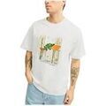 Tee-shirts sur Grenoble : T-shirt Jack & Jones 12273549