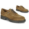 Derbies Pellet Montario Beige