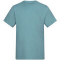 Tee-shirts sur Grenoble : T-shirt Awdis 150