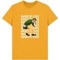 Tee-shirts sur Grenoble : T-shirt Elf Raised By Elves