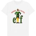 Tee-shirts sur Grenoble : T-shirt Elf Raised By Elves