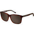 Lunettes sur Grenoble : Lunettes de soleil Pierre Cardin P.C. 6171/S Lunettes de soleil, Havana/Marron, 56 mm