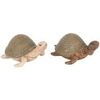 Statuettes et figurines Signes Grimalt Turtle 2U Beige Unique. . Maison & D&eacute;co > Statuettes et figurines.