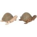 Statuettes et figurines Signes Grimalt Turtle 2U Beige Unique. . Maison & D&eacute;co > Statuettes et figurines. Grenoble