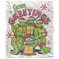 Linge de maison sur Grenoble : Couvertures Tmnt 152 cm x 127 cm TV24871