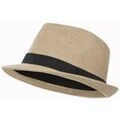 Chapeaux sur Grenoble : Chapeau Trespass TP6348