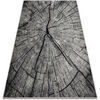 Tapis Rugsx Tapis SILVER TRONKO Arbre Bois - gris 200x300 cm Gris 200x300 cm. . Maison & D&eacute;co > Tapis.