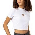T-shirt Dickies Maple Valley Reg Tee Grenoble