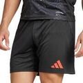 Short adidas SL Benfica Short Ext&eacute;rieur 24/25 Noir
