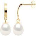 Boucles d'oreille sur Grenoble : Boucles oreilles Pearls & Colors Boucles d'Oreilles Perle - Laure