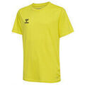 Tee-shirts sur Grenoble : T-shirt hummel Tshirt HML ESSENTIAL M