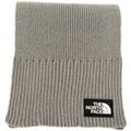 Echarpe The North Face 0a8chg