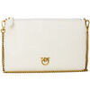 Pochette Pinko FLAT CLASSIC VITELLO SETA 100455 A0F1