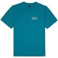 T-shirt Dickies DK0A4Y8OE641 Grenoble