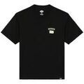 Tee-shirts sur Grenoble : T-shirt Dickies DK0A4Z8TBLK1