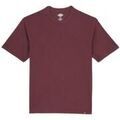 Tee-shirts sur Grenoble : T-shirt Dickies DK0A866BL161