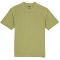 Tee-shirts sur Grenoble : T-shirt Dickies DK0A866BL201