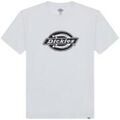 Tee-shirts sur Grenoble : T-shirt Dickies DK0A87QSC481