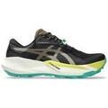 Chaussures Asics 1011C166-001
