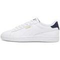Baskets homme sur Grenoble : Baskets basses Puma 390987-13