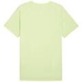 T-shirt Puma 526600-38 Grenoble