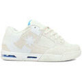 Skate & rollers sur Grenoble : Chaussures de Skate DC Shoes COMMAND off white blue