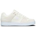 Chaussures de Skate DC Shoes Manteca Se