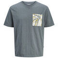 Tee-shirts sur Grenoble : T-shirt Jack & Jones 178089VTPE25