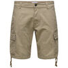 Short Only & Sons 176969VTPE25