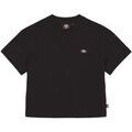 Tee-shirts sur Grenoble : T-shirt Dickies -