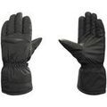 Gants sur Grenoble : Gants Witeblaze -