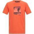 Tee-shirts sur Grenoble : T-shirt Regatta Cline IX