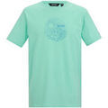 Tee-shirts sur Grenoble : T-shirt Regatta Cline IX