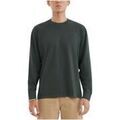 Tee-shirts sur Grenoble : T-shirt Levis A6887-0003