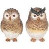 Statuettes et figurines Signes Grimalt Owl 2U Marron Unique. . Maison & D&eacute;co > Statuettes et figurines.