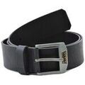 Ceintures sur Grenoble : Ceinture Levis 219406