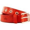 Ceintures sur Grenoble : Ceinture Portman portrinie