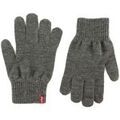 Gants sur Grenoble : Gants Levis 38029
