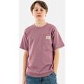 Tee-shirts enfants sur Grenoble : T-shirt enfant Levis 9ek857