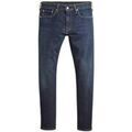 Jeans/Pantalons sur Grenoble : Jeans Levis 28833-1317