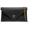 Pochette Pinko Flat Purse Mini