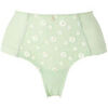 Shorties & boxers Brigitte Bardot Shorty grande taille vert D&eacute;licatesse Vert
