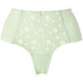 Culottes & autres bas
sur Grenoble : Shorties & boxers Brigitte Bardot Shorty grande taille vert D&eacute;licatesse Vert