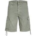 Shorts/Bermuda sur Grenoble : Short Jack & Jones 12253122 COLE-AGAVE GREEN