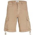 Shorts/Bermuda sur Grenoble : Short Jack & Jones 12253122 COLE-SILVER CLOUD