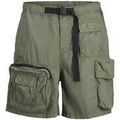 Shorts/Bermuda sur Grenoble : Short Jack & Jones 12255608 BILL-LAUREL WREATH
