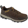 Randonn&eacute;e sur Grenoble : Chaussures Columbia Strata Trail Low Marron