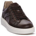 Baskets homme sur Grenoble : Baskets basses NeroGiardini NERO GIARDINI 412 DELAVATO BEIGE