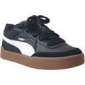 Baskets homme sur Grenoble : Baskets basses Puma Park lifestyle SK8